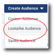 Create Facebook Lookalike Audience